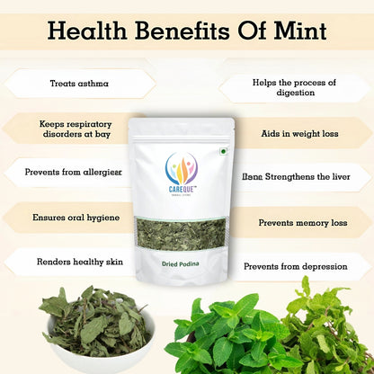 Pudina Dry Leaves-Podina Sookha-Pudina Sukha-पुदीना सूखे पत्ते-Peppermint Leaf-Podina-Mint-Mentha piperita Dried-Raw Herbs-Jadi Booti