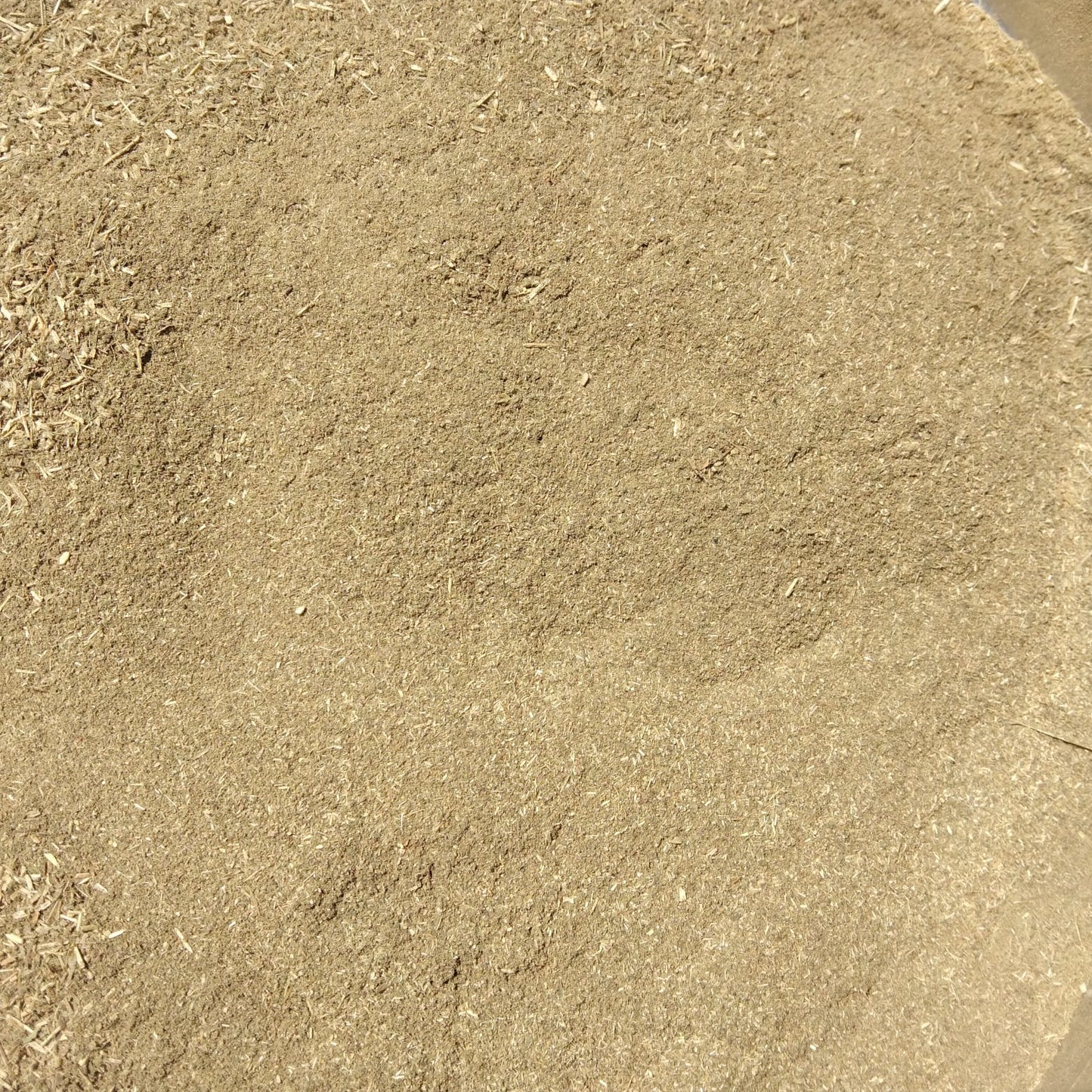 Prishat Parni Powder | Prishtparni Powder | Prishnamparni Powder | Uraria picta Powder