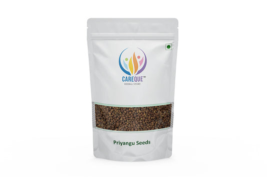 Priyangu Seeds-Callicarpa Macrophylla-प्रियांगु बीज-Priyangu Beej- Phalini-Bhirmoli-Daiya-Vettilai pattai-Kodauduga-Beauty berry