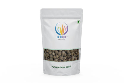 Putrajeevak Seed - Drypetes Roxburghii- Jiya Pota Beej - Putra Jivak Beej - Putra Jeevak Beej - Putranjiva Roxburghii - Lucky Bean