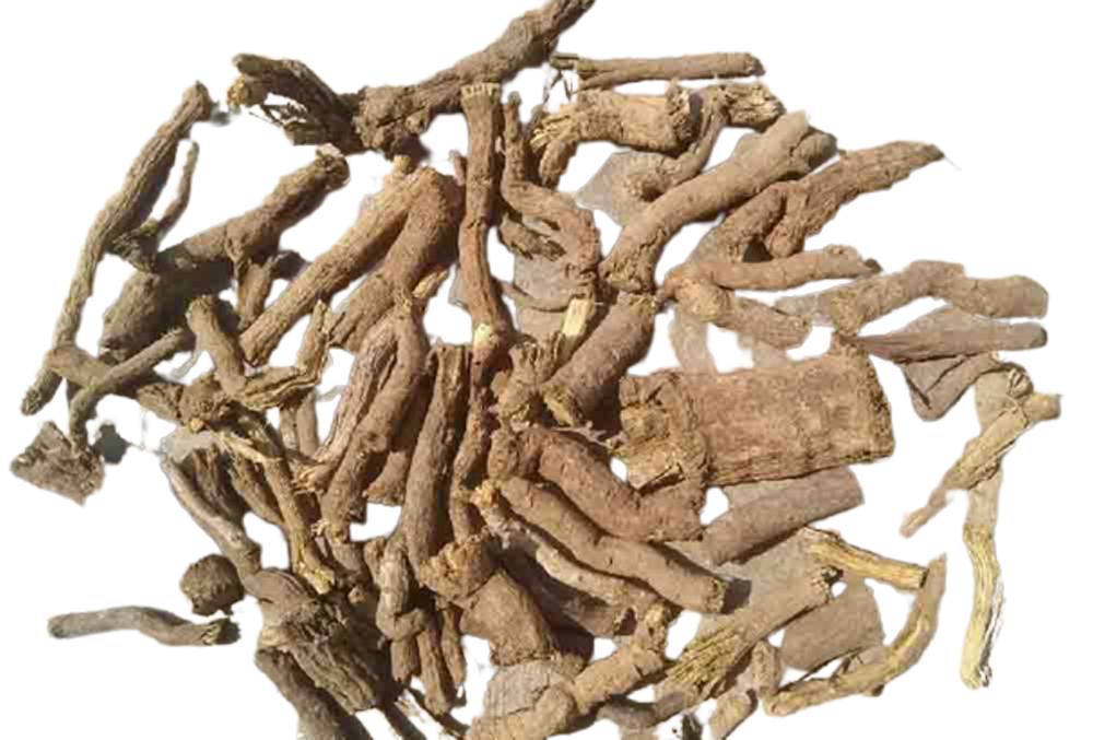 Rasna Root-Pluchea Lanciolata-Raw Herbs-रसना जड़-Ray Sanay Root-Rai Senna Dried Root-Jadi Booti