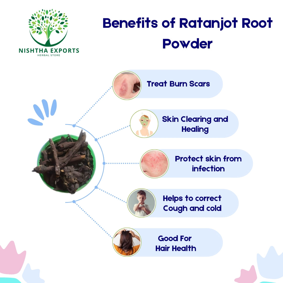 Ratanjot Root-Ratanjyot Jadd-Alkanna Tinctoria-Jatropha Curcas-रतनजोत जड़-Raw Herbs-Jadi Booti