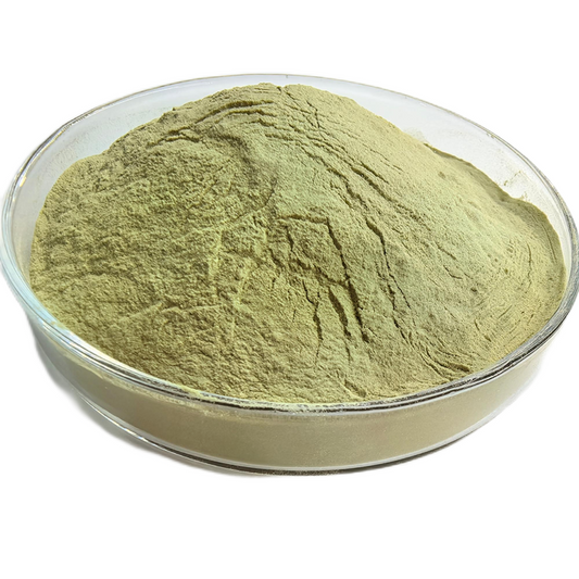 Shalparni Powder | Shalaparni Powder | Desmodium Gangeticum | Sarivan | Shalaparni