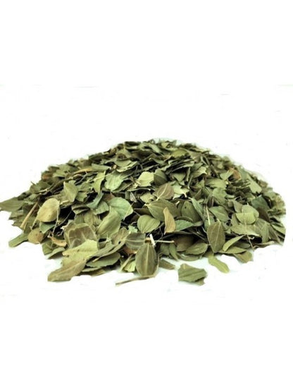 Sidr Leaves (Jujube Leaves) | Ber Ke Patte | Elanthai Ilai | Natural Dried Herbal Leaves