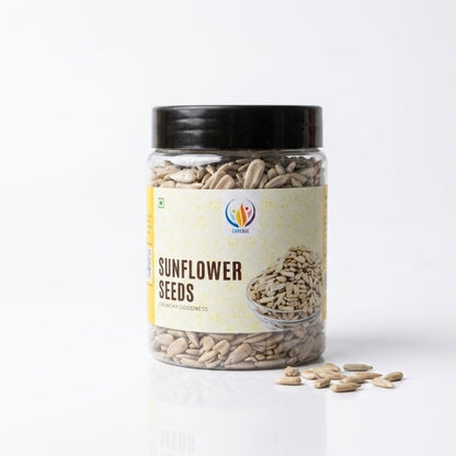 CareQue Sunflower Seeds 250g | 100% Natural Raw Seeds | Healthy Protein & Fiber Rich Snack