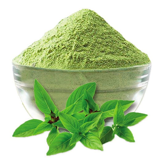 Tulsi Patta Extract Powder-Basil Leaf Extract Powder-Basil Leaves Powder-Ocimum sanctum