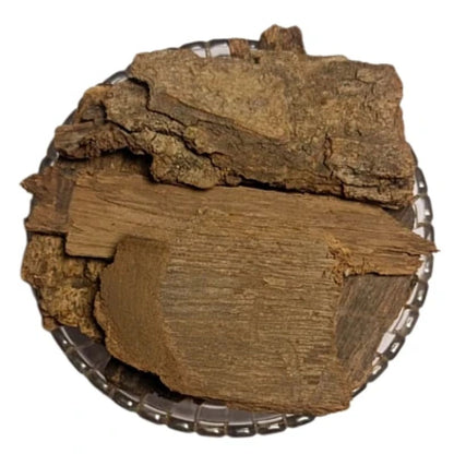 Patala Chhal - Padal Bark - Padala - Padhala - Padhal - Stereospermum Suaveolens