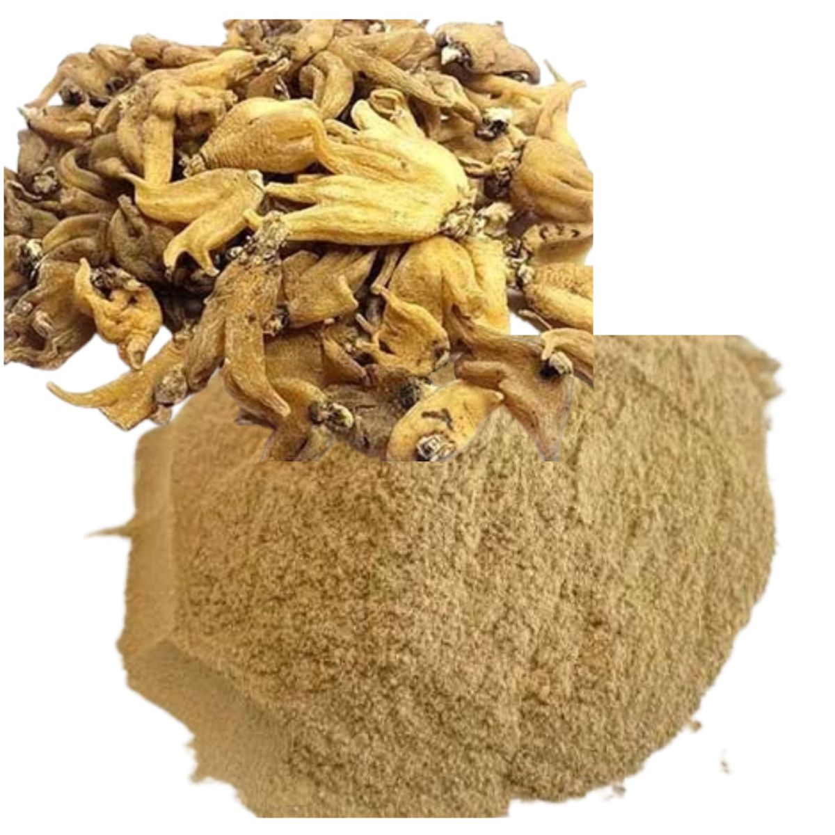 Salab Punja Irani Powder (Salam Panja) | Herbal Root Powder | Dactylorhiza hatagirea | Natural Botanical Supplement | Premium Herbal Powder | 100% Pure & Natural