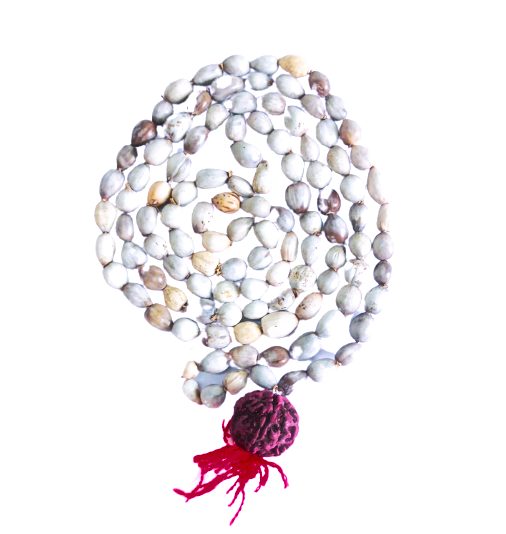 Vaijanti Mala-Vaijanti Mala With Rudraksha-Vyjanthi Beej Mala-Vaijayanti Necklace Prayer Beaded Mala for Calmness and Grounding (Length- 49 CM, Beads - 108 Rudrakhsh - 1)-Religious-Spiritual Product