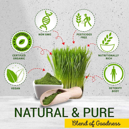 Wheatgrass Powder | Natural Green Powder for Smoothie, Juice & Daily Use