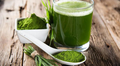 Wheatgrass Powder | Natural Green Powder for Smoothie, Juice & Daily Use