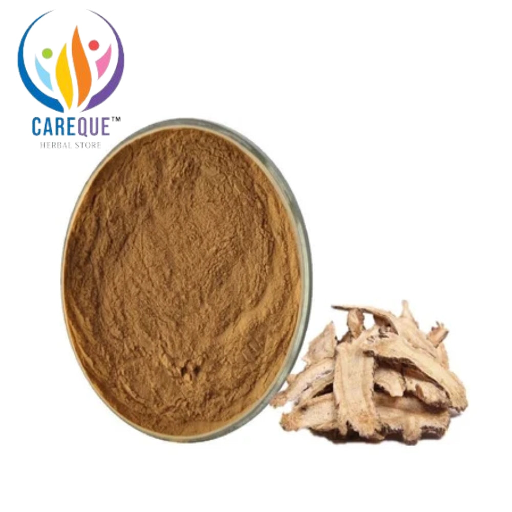 Dong Quai Extract Powder – Pure & Potent Herbal Essence