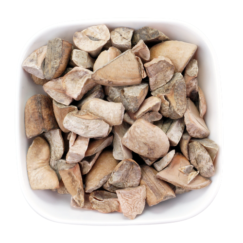 Mango Seed Kernel-Mangifera Indica-आम का बीज-Mango Stone-Aam Guthali- Aam Magaj-Mavu-Manga Andi Parippu