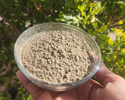 Memory Support Powder (Brahmi, Gudbach, Jatamansi Root & Shankhpushpi) – Ayurvedic Brain Tonic