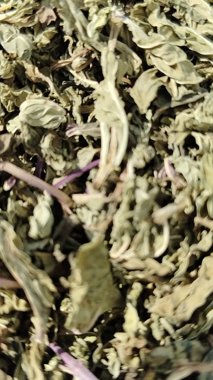 Pudina Dry Leaves-Podina Sookha-Pudina Sukha-पुदीना सूखे पत्ते-Peppermint Leaf-Podina-Mint-Mentha piperita Dried-Raw Herbs-Jadi Booti