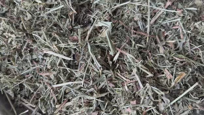 Clever Herbs - Galium aparine - cleavers - Clivers