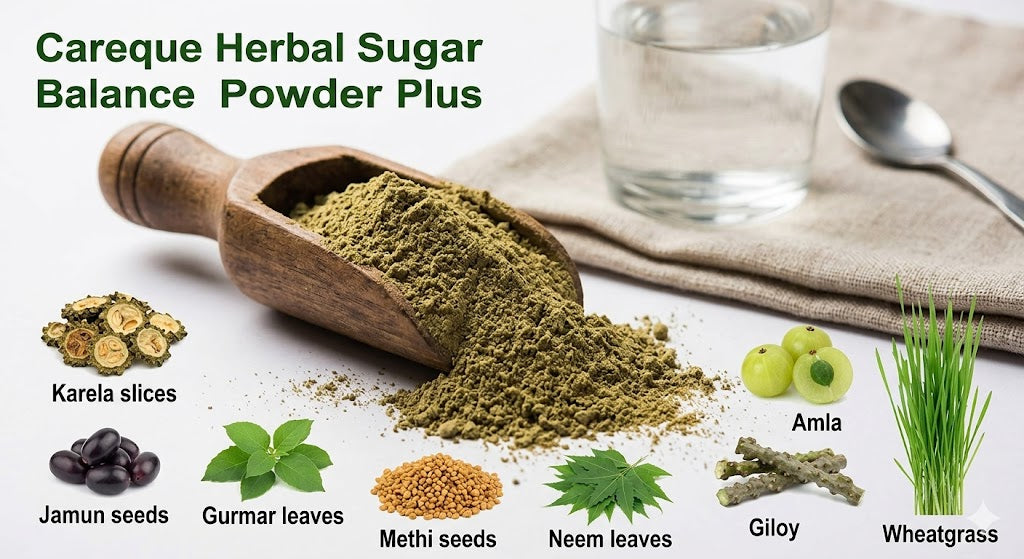 Careque Herbal Sugar Balance Powder Plus – Herbal Wellness Blend | Karela Jamun Gudmar Methi | Plant-Based Daily Support Powder | No Preservatives