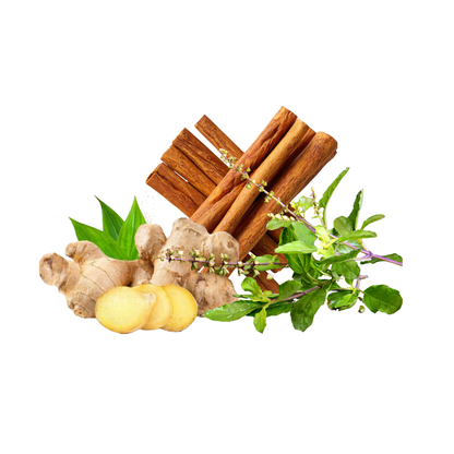Tulsi Cinnamon Ginger Tea | Herbal Tea Blend with Tulsi Leaves, Cinnamon & Ginger for Aromatic Infusion - 20 Gram