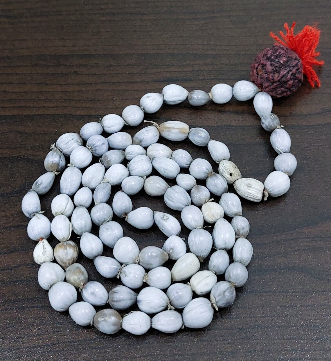 Vaijanti Mala-Vaijanti Mala With Rudraksha-Vyjanthi Beej Mala-Vaijayanti Necklace Prayer Beaded Mala for Calmness and Grounding (Length- 49 CM, Beads - 108 Rudrakhsh - 1)-Religious-Spiritual Product
