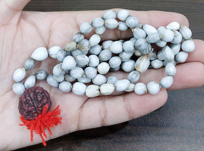 Vaijanti Mala-Vaijanti Mala With Rudraksha-Vyjanthi Beej Mala-Vaijayanti Necklace Prayer Beaded Mala for Calmness and Grounding (Length- 49 CM, Beads - 108 Rudrakhsh - 1)-Religious-Spiritual Product