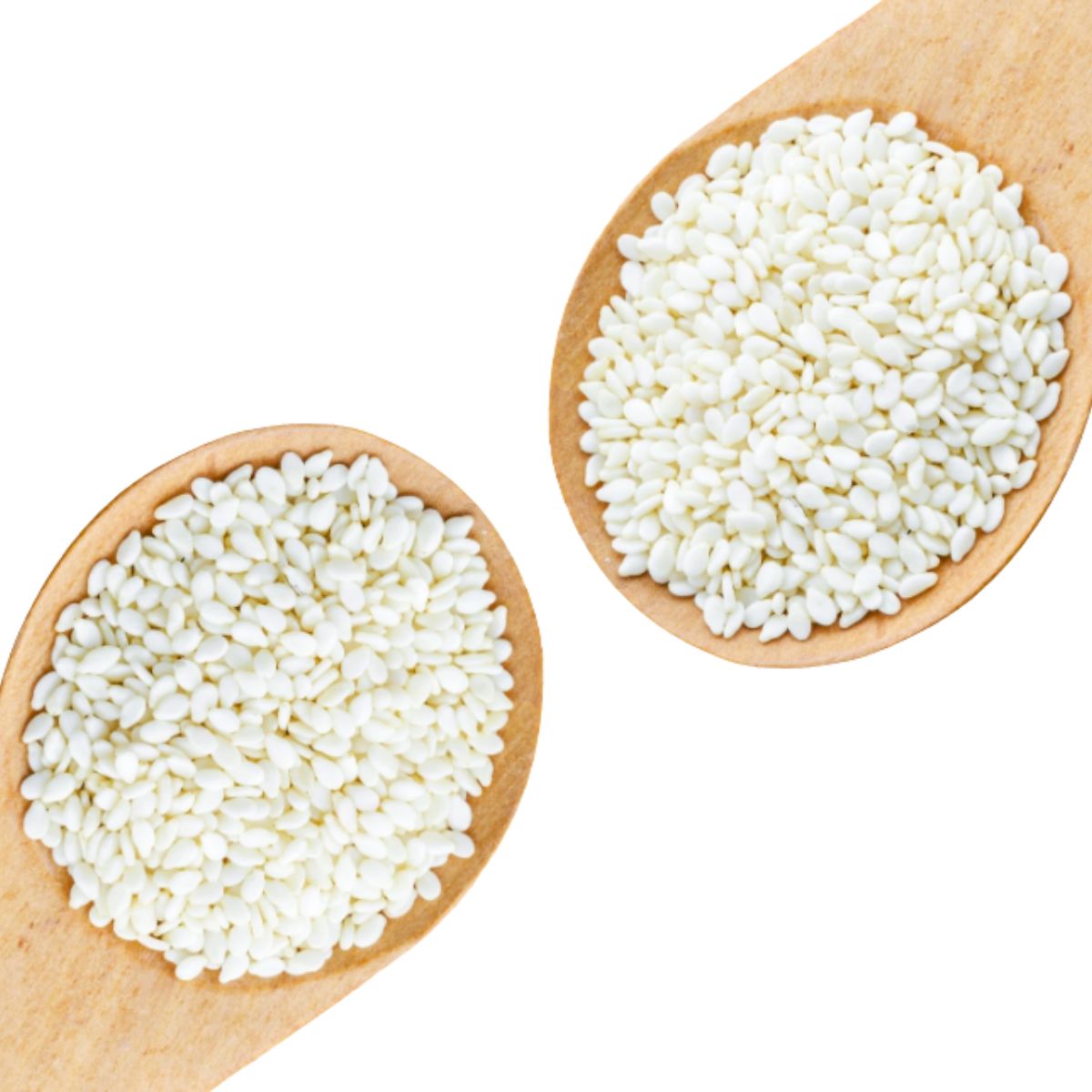 Pure White Sesame Seeds | Washed & Cleaned | White Till | Safed Til | Premium Quality Seeds