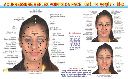 Acupressure Face Reflexology Chart - For Face Point AC-1603 Chart Size 44 cm (Length) × 29 cm (Width)