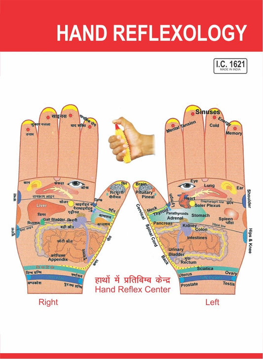 Acupressure Reflexology-V.Card-Hand (100pc)-रिफ्लेक्सोलॉजी-वी.कार्ड-Code 1621A
