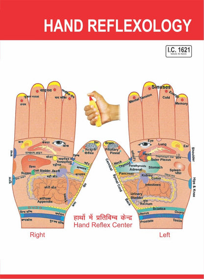 Acupressure Reflexology-V.Card-Hand (100pc)-रिफ्लेक्सोलॉजी-वी.कार्ड-Code 1621A