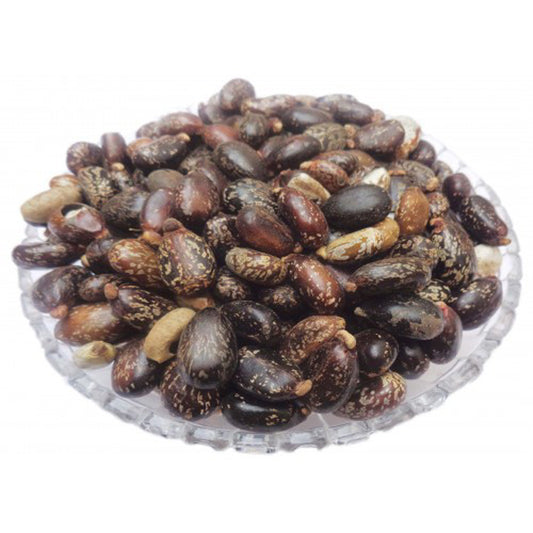 Castor Seeds-Ricinus communis-अरंडी बीज-Arandi Beej-Erand Seeds-Castor Bean-Amanakku-Kottaimuthu-Chittamankku