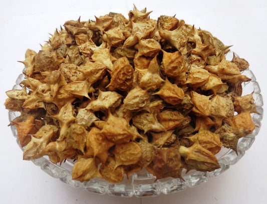 Gokhru Big-Gokharu Bada-Pedalium Murex-गोखरू बड़ा-Caltrops-Raw Herbs-Jadi Booti
