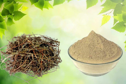 Bhumi Amla Powder | Bhumi Aamla Powder | Stone Breaker Herb | Chanca Piedra | Phyllanthus niruri | 100% Pure Herbal Powder