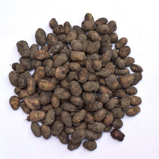 Jamun Guthli-Syzygium Cumini-जामुन की गुठली-Jamun Seeds-Black Plum-Jambu Beej-Neredu Ginjalu- Naavar Pazham Seed-Kala Jam Seed
