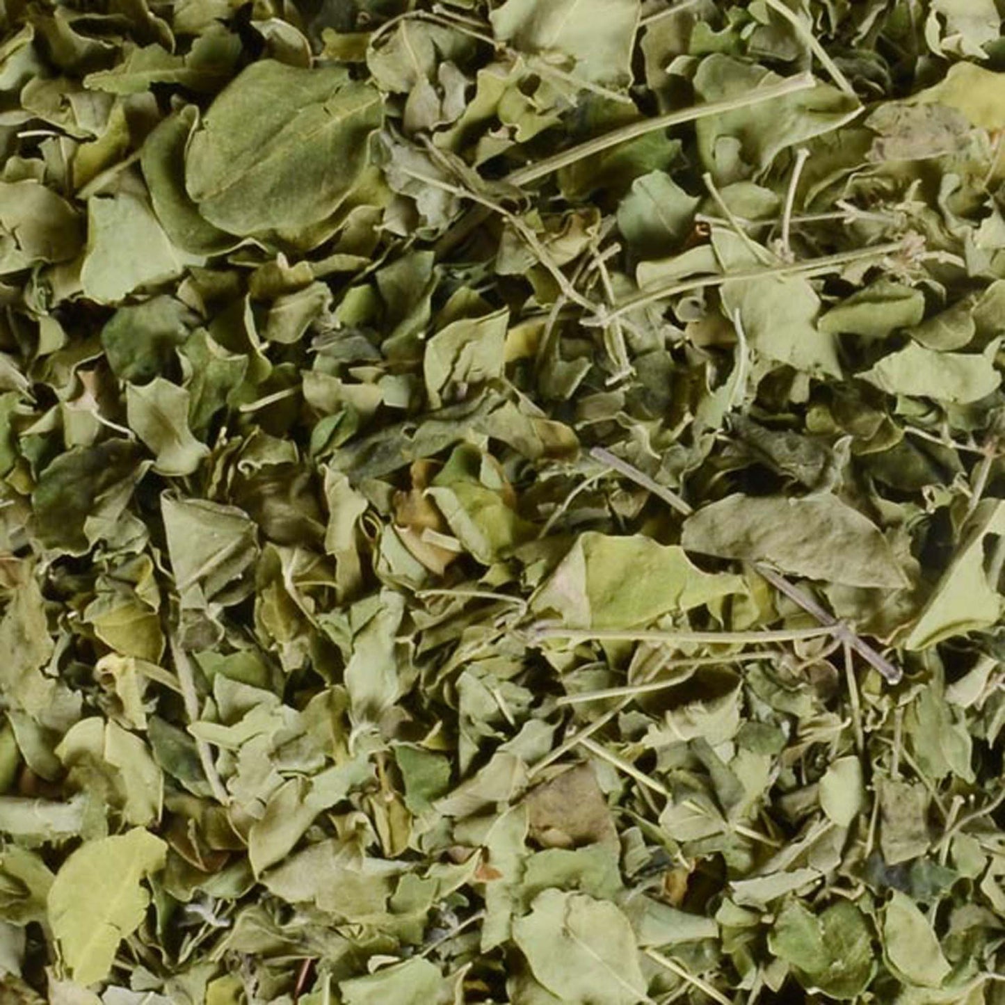 Moringa Leaves-Moringa Leaf-मोरिंगा के पत्ते Patta-Raw Herbs-Jadi Booti Dried-Drumstick Leaves