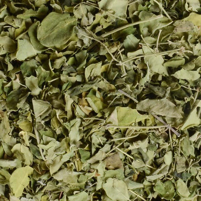 Moringa Leaves-Moringa Leaf-मोरिंगा के पत्ते Patta-Raw Herbs-Jadi Booti Dried-Drumstick Leaves
