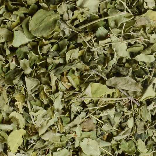Moringa Leaves-Moringa Leaf-मोरिंगा के पत्ते Patta-Raw Herbs-Jadi Booti Dried-Drumstick Leaves
