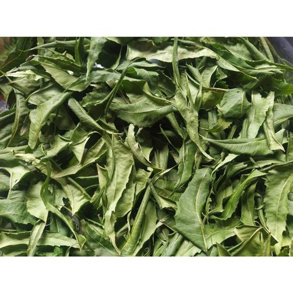 Neem Leaves-Neem Patta Dried-नीम के पत्ते-Azadirachta Indica-Raw Herbs-Jadi Booti