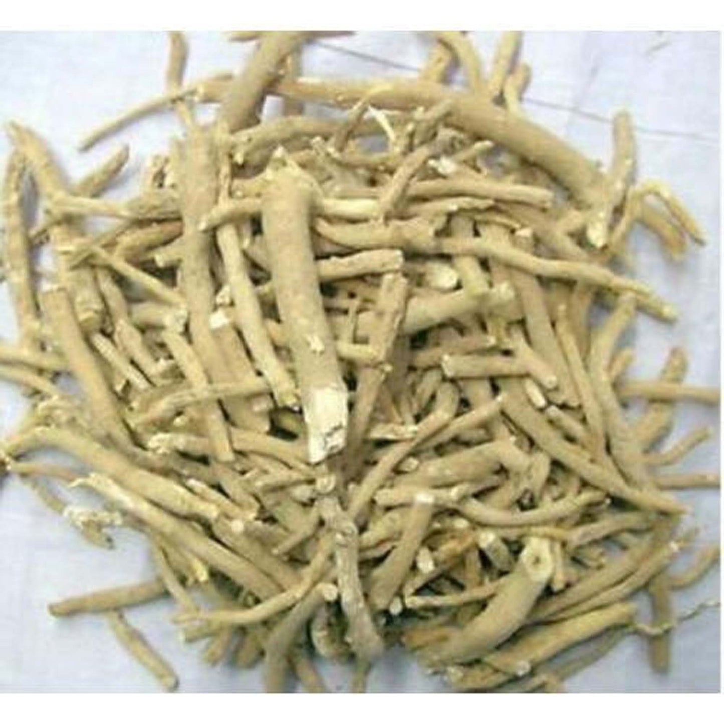 Sarpgandha Roots-सर्पगंधा जड़-Patala Garuda-Rauvolfia Serpentina-Root-Raw Herbs-Jadi Booti Dried
