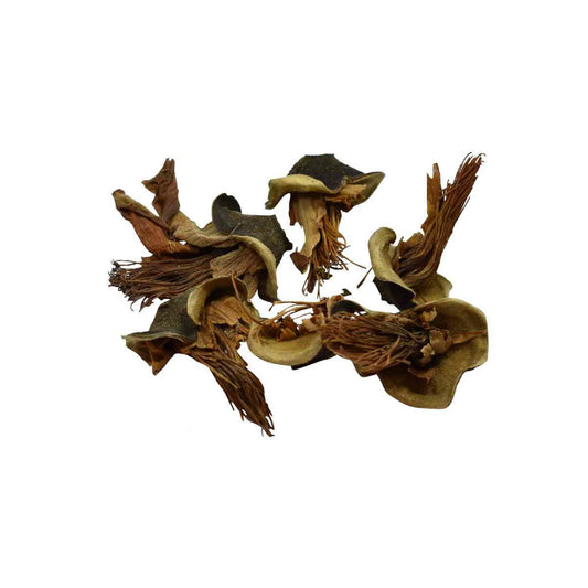Semal Phool-सेमल फूल-Simbal Phool-Semel Phool Dried-Simbal Flower-Bombax Malabaricum-Raw Herbs-Jadi Booti