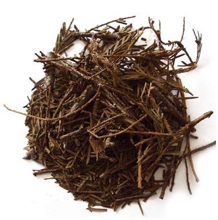 Talispatra-Talish Patra-Tallis Patra-तालीसपत्र-Indian Silver Fir-Abies Webbiana-Raw herbs-Jadi Booti-Dried