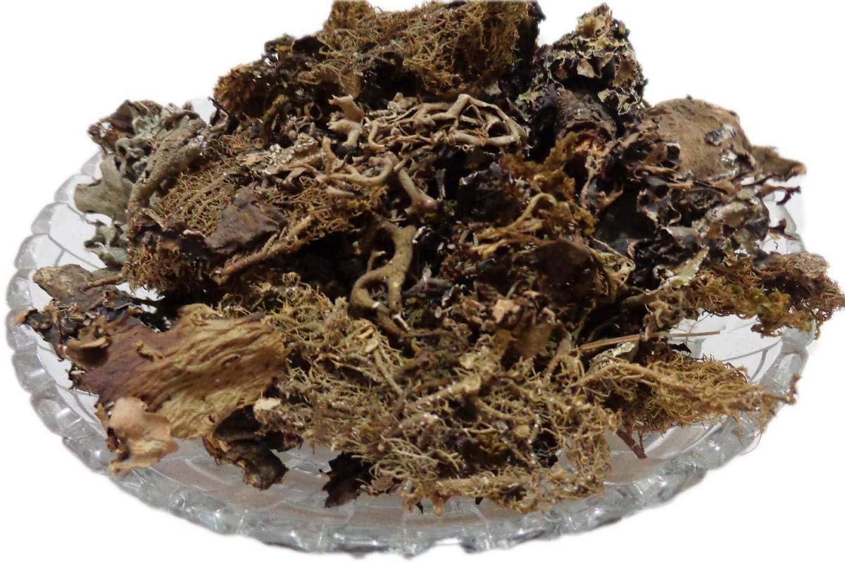 Chadila-Charila-Chareela-चडीला-Stone Flower-Patthar Phool-Dagad Phool-Parmelia Perlata-Raw herbs-Jadi Booti
