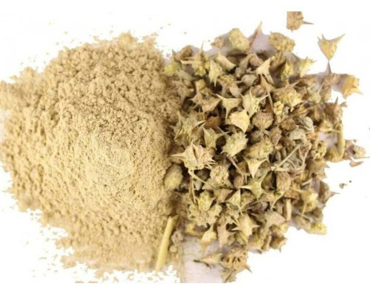 Gokhru Big Powder | Gokharu Bada Powder | Pedalium murex | Large Caltrops Powder | 100% Pure Herbal Powder