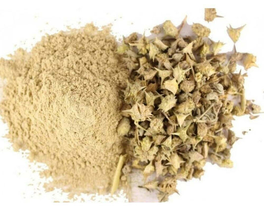 Gokhru Big Powder | Gokharu Bada Powder | Pedalium murex | Large Caltrops Powder | 100% Pure Herbal Powder