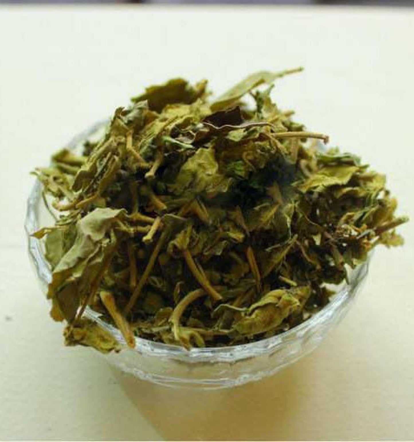 Gudmar Leaves-Gurmar-Madhunashni-गुडमार-Nagapushpi-Gymnema Sylvestre-Raw Herbs-Jadi Booti