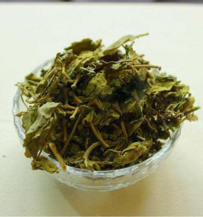 Gudmar Leaves-Gurmar-Madhunashni-गुडमार-Nagapushpi-Gymnema Sylvestre-Raw Herbs-Jadi Booti