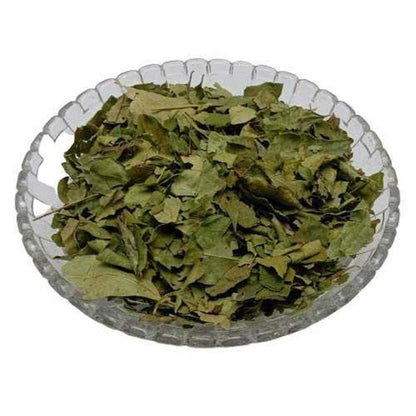 Kadi Patta-Kari Leaf-Meetha Neem-कड़ी पत्ता-Curry Leaves