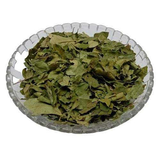 Kadi Patta-Kari Leaf-Meetha Neem-कड़ी पत्ता-Curry Leaves