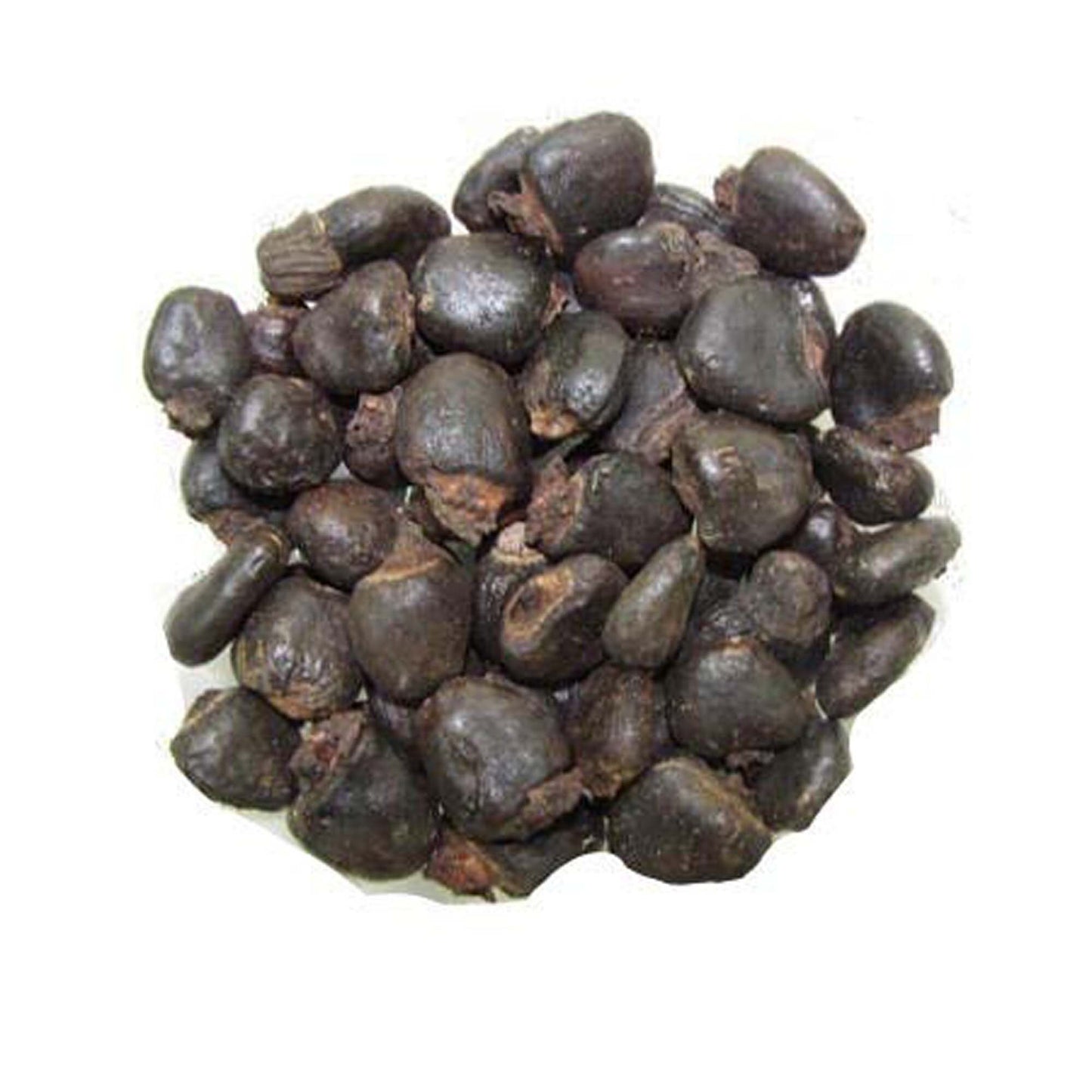 Bhilawa Seeds -Semecarpus Anacardium - भिलावा बीज- Marking Nut - Bilava Beej - Bhilava - Bilawa - Godambi- Bibba