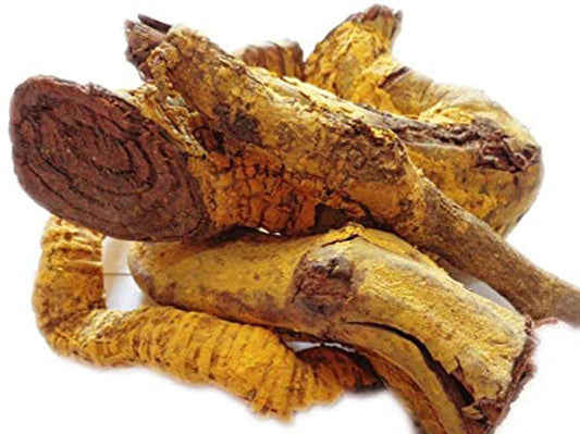 Saptarangi Root-Saptrangi Jadd Dried-सप्तरंगी जड़ें-Saptaranj-Salacia oblonga-Raw Herbs-Jadi Booti