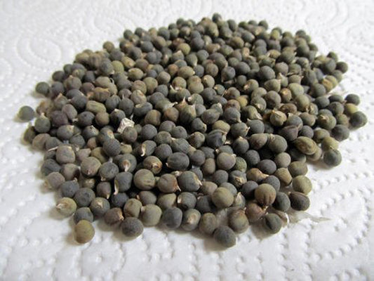 Bhindi Beej-Okra Seeds-भिंडी बीज-Ladyfinger Seeds Edible-Abelmoschus esculentus-Bhendi-Vendakkai Vidai-Bendakaya Vittulu-Bendekai Beeja-Vendakka Vithu