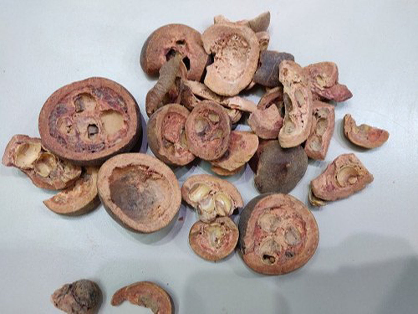 Rudrawanti Phal-Rudravanti Phal-रुद्रवंती फल-Rudanti Fal-Cressa cretica-Raw Herbs-Jadi Booti